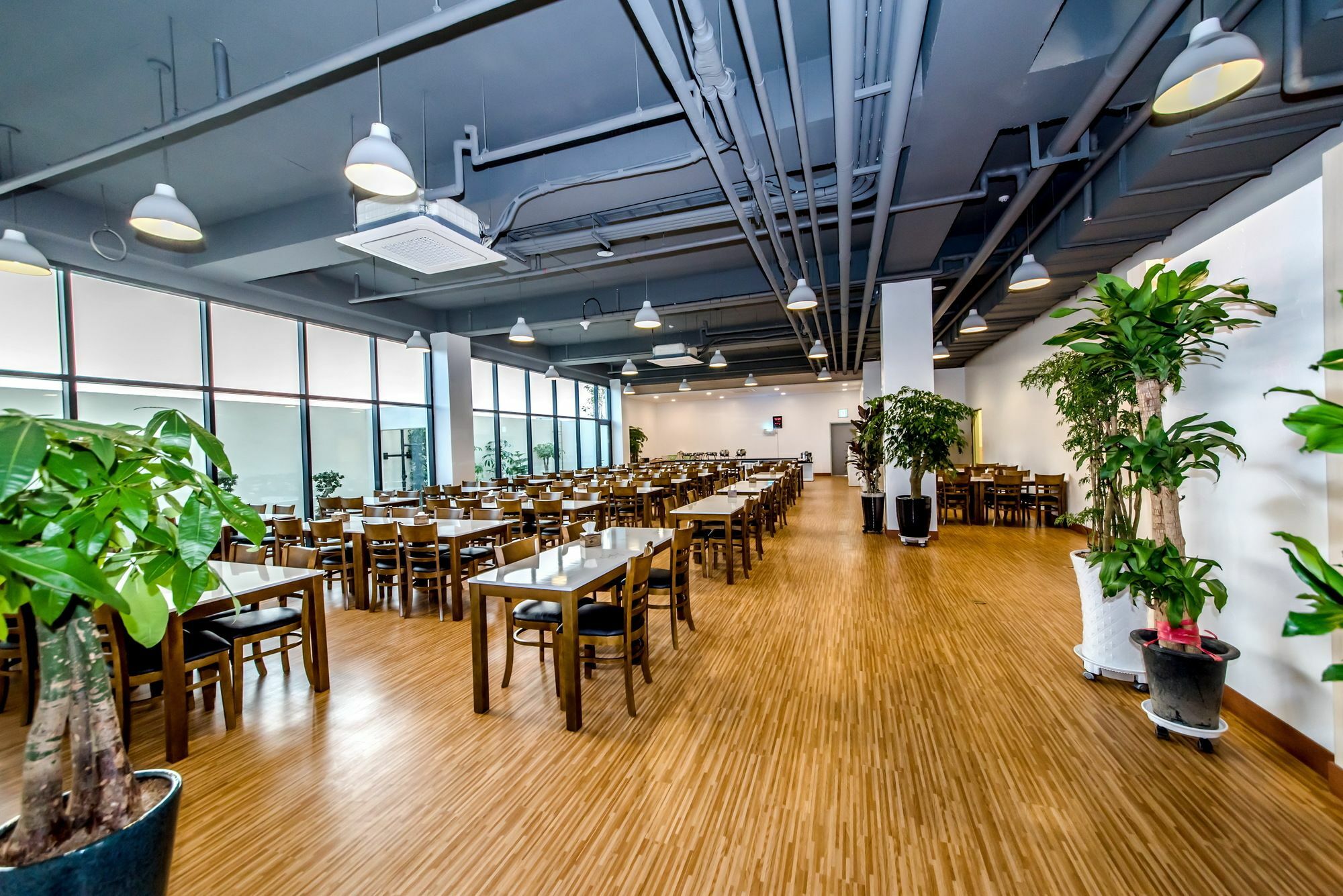 Jeju In Hotel Extérieur photo